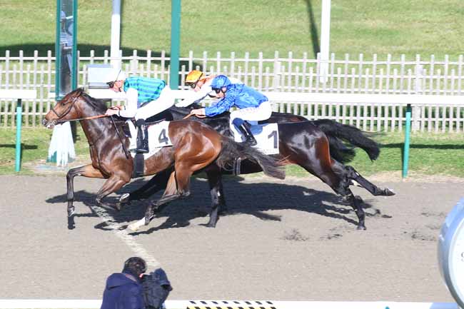 Photo d'arrivée de la course pmu PRIX DE LA CROIX MARQUET à CHANTILLY le Mardi 2 novembre 2021