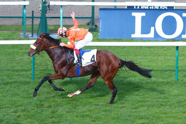 Photo d'arrivée de la course pmu GRAND PRIX DU NORD à CHANTILLY le Mardi 2 novembre 2021