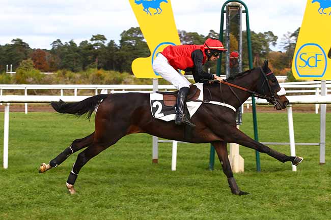 Photo d'arrivée de la course pmu PRIX COLONEL ROBERT LABOUCHE à FONTAINEBLEAU le Mardi 2 novembre 2021