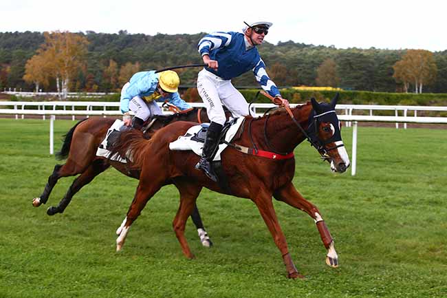 Photo d'arrivée de la course pmu PRIX DU CONSEIL MUNICIPAL DE CHAMPAGNE-SUR-SEINE à FONTAINEBLEAU le Mardi 2 novembre 2021