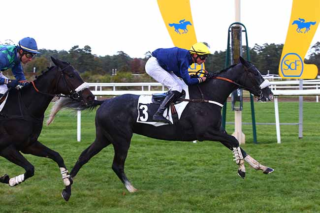 Photo d'arrivée de la course pmu PRIX DU MONT USSY à FONTAINEBLEAU le Mardi 2 novembre 2021