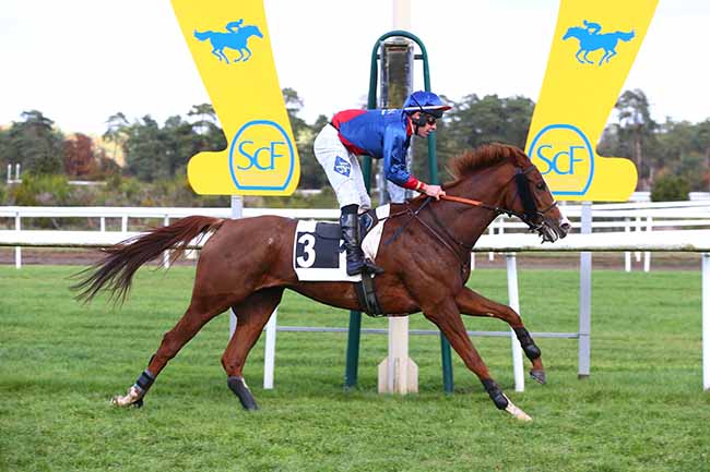 Photo d'arrivée de la course pmu PRIX DES GORGES D'APREMONT à FONTAINEBLEAU le Mardi 2 novembre 2021