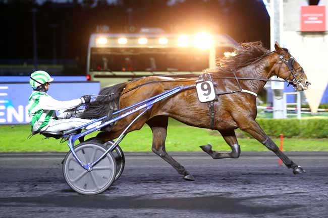Photo d'arrivée de la course pmu PRIX ANGELINA à PARIS-VINCENNES le Mardi 2 novembre 2021