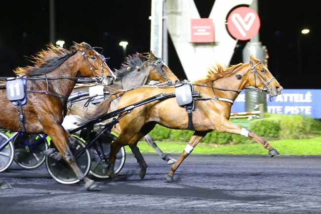 Photo d'arrivée de la course pmu PRIX DRACO à PARIS-VINCENNES le Vendredi 5 novembre 2021