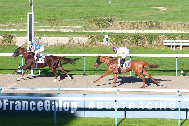 Photo d'arrivée de la course pmu PRIX JEAN DEFORGE à DEAUVILLE le Vendredi 5 novembre 2021