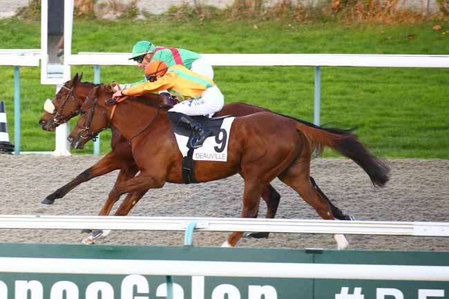 Photo d'arrivée de la course pmu PRIX DU VERGER à DEAUVILLE le Vendredi 5 novembre 2021