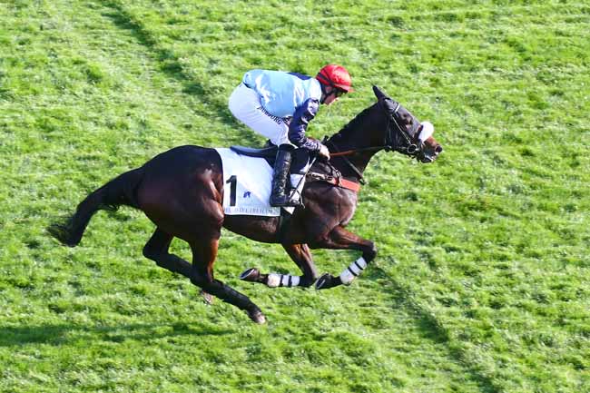 Photo d'arrivée de la course pmu HARAS D'ETREHAM - PRIX MAGALEN BRYANT (PRIX BOURNOSIENNE) à AUTEUIL le Samedi 6 novembre 2021