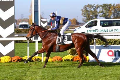 Photo d'arrivée de la course pmu PRIX PLANTAGENET à ANGERS le Mardi 9 novembre 2021