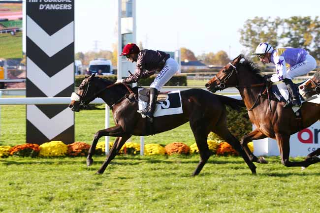 Photo d'arrivée de la course pmu PRIX ANGERS INFO (PRIX DE BOUCHEMAINE) à ANGERS le Mardi 9 novembre 2021