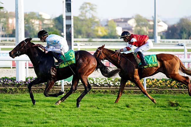 Photo d'arrivée de la course pmu PRIX DE LA REPUBLIQUE DU SENEGAL à TOULOUSE le Jeudi 11 novembre 2021