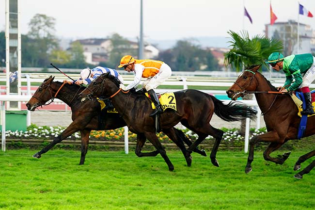 Photo d'arrivée de la course pmu PRIX DE LA DEPECHE DU MIDI à TOULOUSE le Jeudi 11 novembre 2021