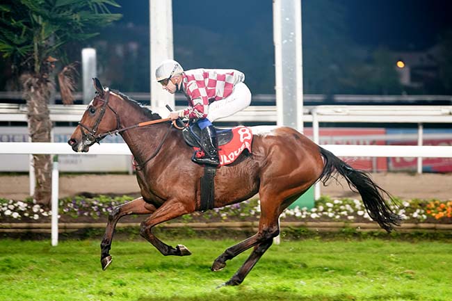 Photo d'arrivée de la course pmu GRAND NATIONAL DES ANGLO-ARABES A 37.5% à TOULOUSE le Jeudi 11 novembre 2021
