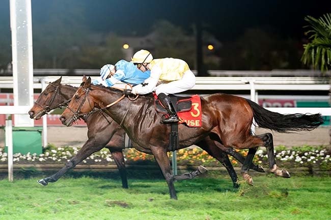 Photo d'arrivée de la course pmu PRIX MOVIDA (PRIX D'ASSEZAT) à TOULOUSE le Jeudi 11 novembre 2021