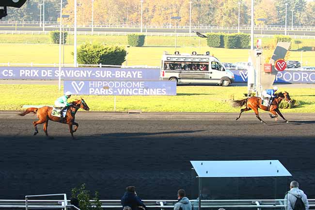 Photo d'arrivée de la course pmu PRIX DE SAVIGNY-SUR-BRAYE à PARIS-VINCENNES le Jeudi 11 novembre 2021