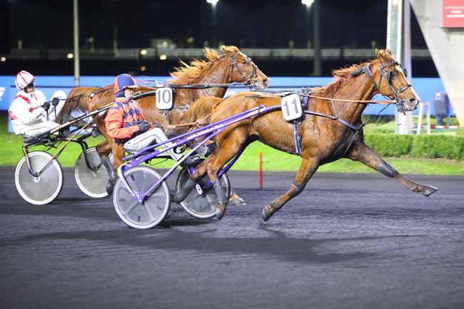 Photo d'arrivée de la course pmu PRIX CERES à PARIS-VINCENNES le Vendredi 12 novembre 2021