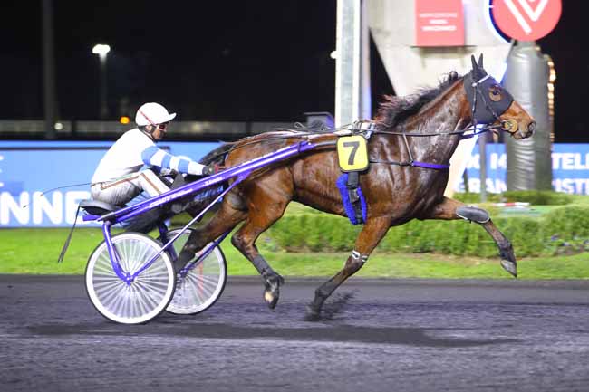 Photo d'arrivée de la course pmu PRIX CAMPANUS à PARIS-VINCENNES le Vendredi 12 novembre 2021