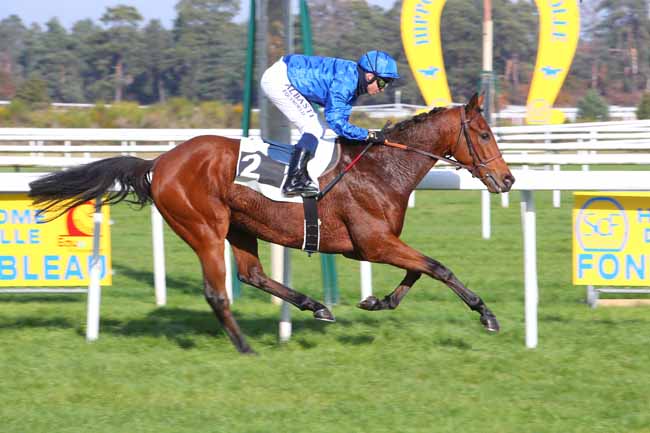 Photo d'arrivée de la course pmu PRIX CENTRE D'ECOTOURISME DE FRANCHARD à FONTAINEBLEAU le Vendredi 12 novembre 2021
