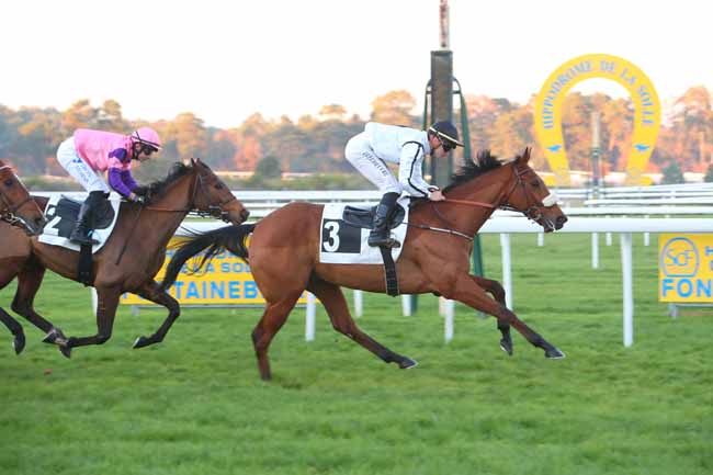 Photo d'arrivée de la course pmu PRIX JOUR DE GALOP à FONTAINEBLEAU le Vendredi 12 novembre 2021