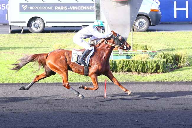 Photo d'arrivée de la course pmu PRIX DE SERIGNAN à PARIS-VINCENNES le Samedi 13 novembre 2021