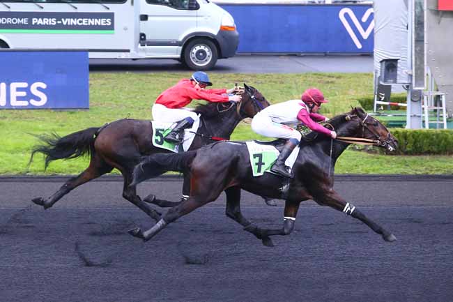Photo d'arrivée de la course pmu PRIX LOUIS TILLAYE à PARIS-VINCENNES le Samedi 13 novembre 2021