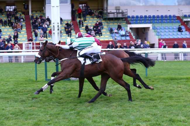 Photo d'arrivée de la course pmu PRIX ASTOUN BLOUNT à COMPIEGNE le Samedi 13 novembre 2021