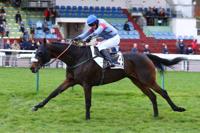 Photo d'arrivée de la course pmu PRIX DE LA HAGUE à COMPIEGNE le Samedi 13 novembre 2021