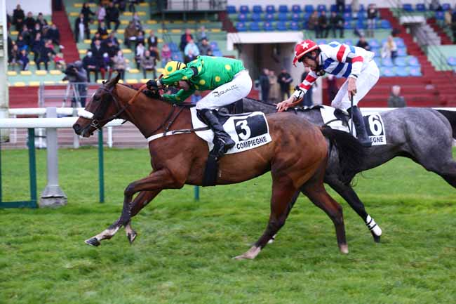 Photo d'arrivée de la course pmu PRIX HURON à COMPIEGNE le Samedi 13 novembre 2021