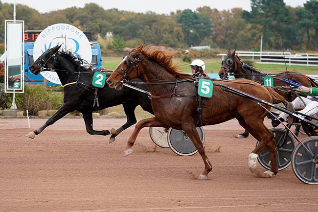 Photo d'arrivée de la course pmu PRIX JEAN-FRANCOIS MAURY à BORDEAUX-LE BOUSCAT le Lundi 15 novembre 2021