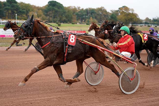 Photo d'arrivée de la course pmu PRIX SAUTERNES'S CUP à BORDEAUX-LE BOUSCAT le Lundi 15 novembre 2021