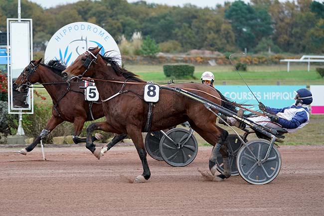 Photo d'arrivée de la course pmu GRAND PRIX DYNAVENA MAISAGRI à BORDEAUX-LE BOUSCAT le Lundi 15 novembre 2021