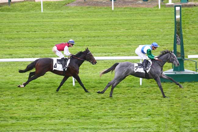 Photo d'arrivée de la course pmu PRIX GAY MECENE à SAINT CLOUD le Mardi 16 novembre 2021