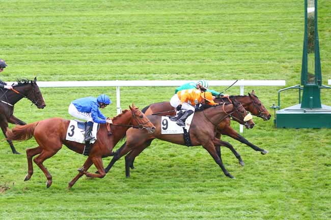 Photo d'arrivée de la course pmu PRIX HEROD à SAINT CLOUD le Mardi 16 novembre 2021