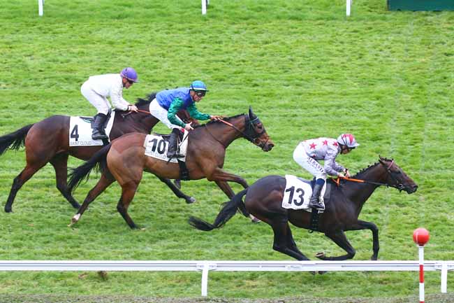 Photo d'arrivée de la course pmu PRIX DE LA VALLEE DE CHEVREUSE à SAINT CLOUD le Mardi 16 novembre 2021