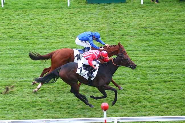 Photo d'arrivée de la course pmu PRIX TANTIEME à SAINT CLOUD le Mardi 16 novembre 2021