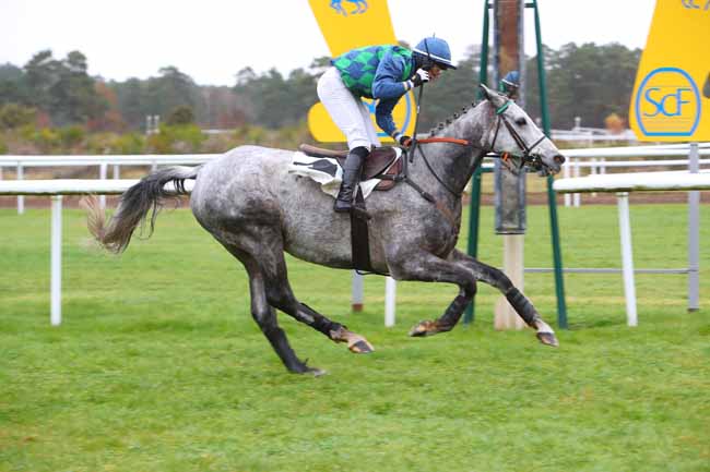 Photo d'arrivée de la course pmu PRIX COLONEL BERNARD MARLIN à FONTAINEBLEAU le Mardi 16 novembre 2021