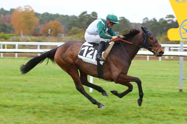 Photo d'arrivée de la course pmu PRIX PAIUTE à FONTAINEBLEAU le Mardi 16 novembre 2021
