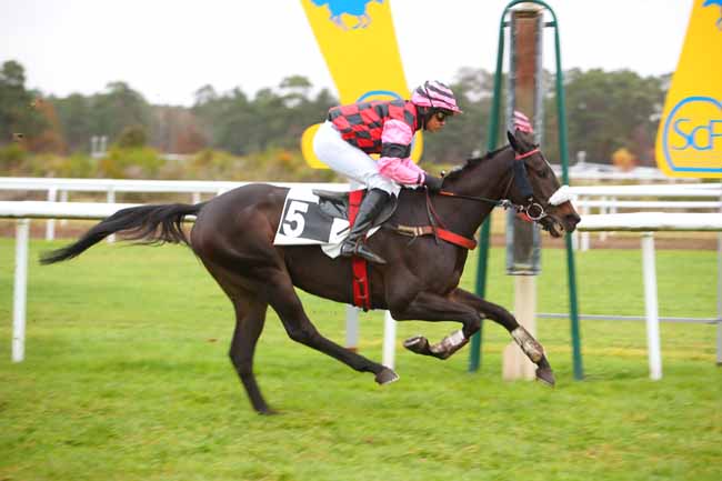 Photo d'arrivée de la course pmu PRIX DE LA ROUTE AMELIE à FONTAINEBLEAU le Mardi 16 novembre 2021