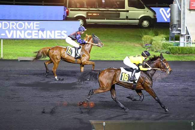 Photo d'arrivée de la course pmu PRIX SILESIA à PARIS-VINCENNES le Mardi 16 novembre 2021