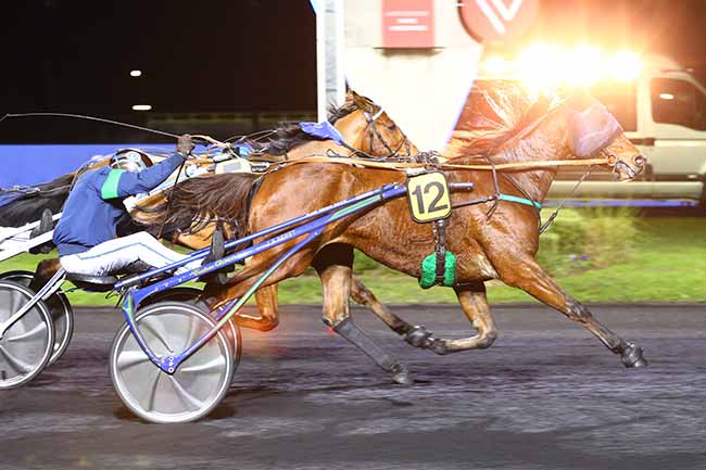 Photo d'arrivée de la course pmu PRIX CIRCINUS à PARIS-VINCENNES le Vendredi 19 novembre 2021