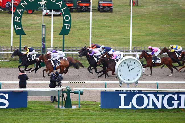 Photo d'arrivée de la course pmu PRIX D'ORROUY à CHANTILLY le Vendredi 19 novembre 2021