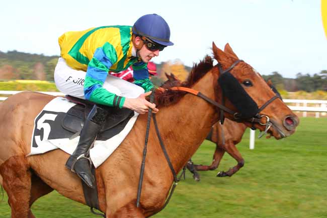 Photo d'arrivée de la course pmu PRIX TREMAILLE à FONTAINEBLEAU le Lundi 22 novembre 2021