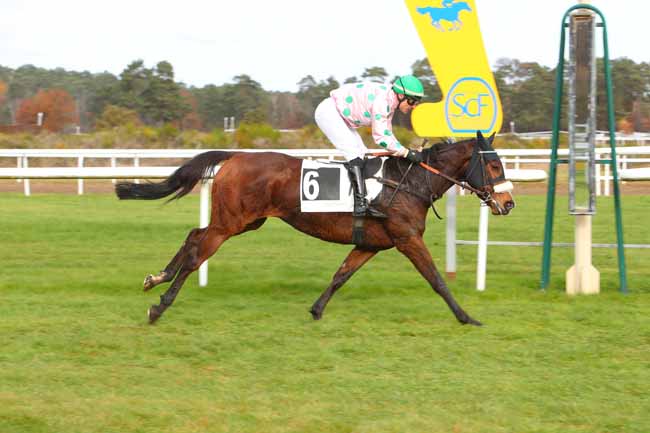 Photo d'arrivée de la course pmu PRIX HENRY MAZE-SENCIER à FONTAINEBLEAU le Lundi 22 novembre 2021