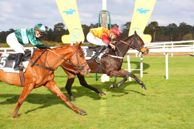 Photo d'arrivée de la course pmu PRIX GERARD DE MARISY à FONTAINEBLEAU le Lundi 22 novembre 2021