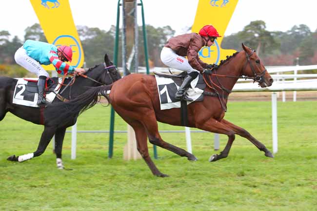 Photo d'arrivée de la course pmu PRIX DE LA GROTTE DES ERMITES à FONTAINEBLEAU le Lundi 22 novembre 2021