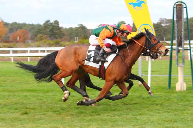Photo d'arrivée de la course pmu PRIX DE LA FONTAINE AUX BICHES à FONTAINEBLEAU le Lundi 22 novembre 2021