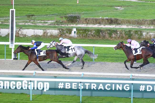 Photo d'arrivée de la course pmu PRIX LYPHARD à DEAUVILLE le Mardi 23 novembre 2021