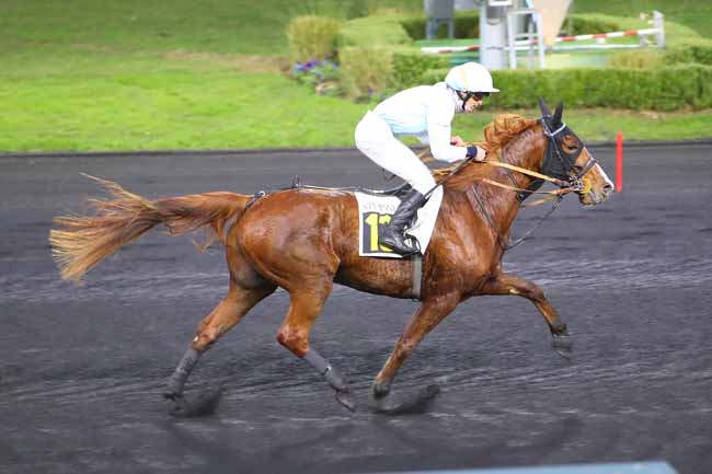 Photo d'arrivée de la course pmu PRIX HESTIA à PARIS-VINCENNES le Mardi 23 novembre 2021