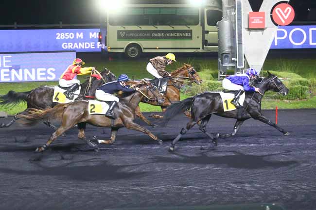 Photo d'arrivée de la course pmu PRIX DE L'ILE DE RE à PARIS-VINCENNES le Jeudi 25 novembre 2021