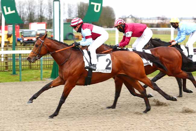 Photo d'arrivée de la course pmu PRIX DE LA PETITE SINGERIE à CHANTILLY le Samedi 27 novembre 2021