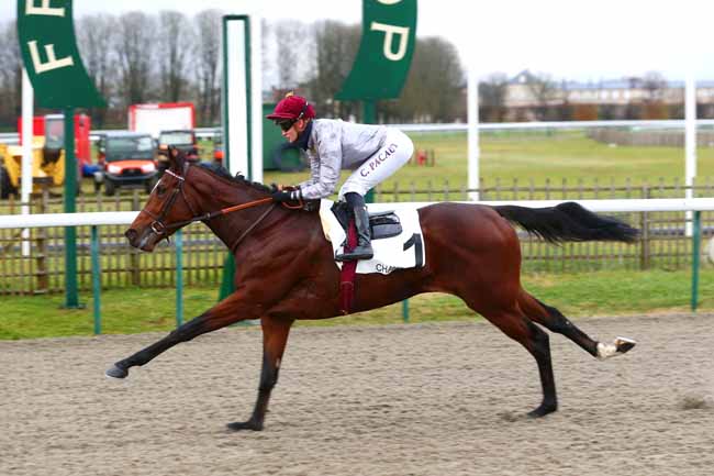 Photo d'arrivée de la course pmu PRIX DU ROND DU CHENE à CHANTILLY le Samedi 27 novembre 2021